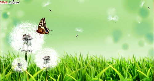 Hình ảnh đẹp về mùa xuân