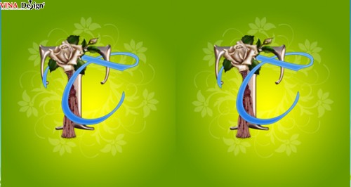 Hình nền chữ cái sánh đôi T T