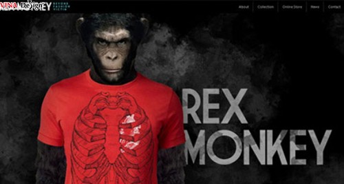 Những trang web bán hàng chuyên nghiệp