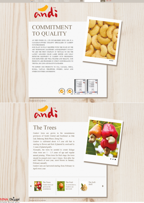 Thiết kế website cho công ty TNHH Thực Phẩm An Điền - andifoods.com