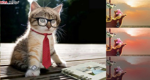 Tổng hợp những hình nền dễ thương