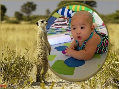 Chụp ảnh cho bé