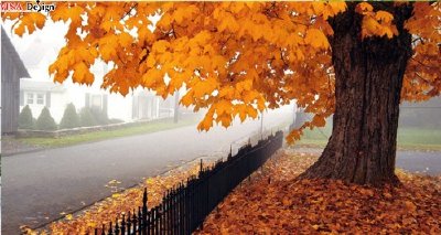 Hình đẹp về Mùa Thu