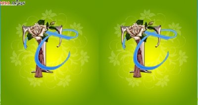 Hình nền chữ cái sánh đôi T T