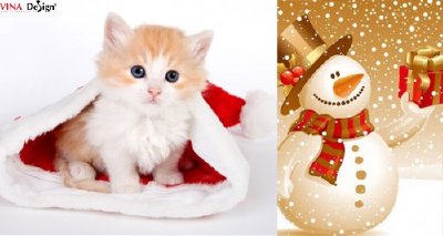 Hình nền giáng sinh kute