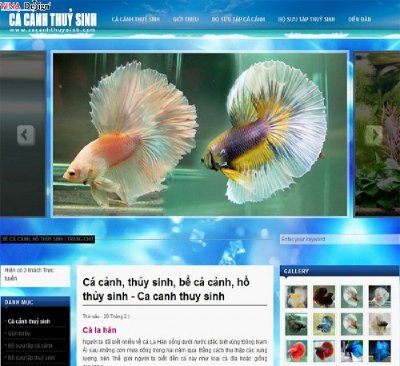 Kinh doanh cá cảnh - Cá cảnh thuỷ sinh - www.cacanhthuysinh.com