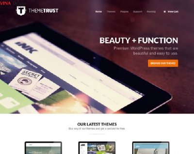 Mẫu đẹp của hình ảnh lớn trong thiết kế Web