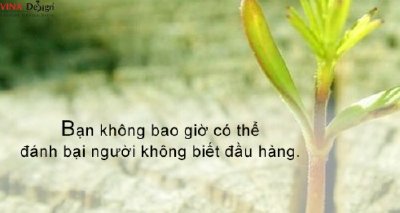 Người không biết đầu hàng