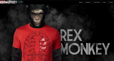 Những trang web bán hàng chuyên nghiệp