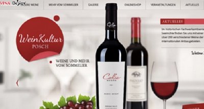 Sử dụng hình ảnh lớn trong thiết kế web