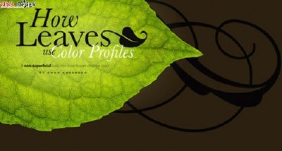 Sử dụng Typography trong thiết kế web