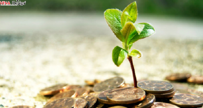 Thiết kế web chú trọng đến hiệu quả đầu tư