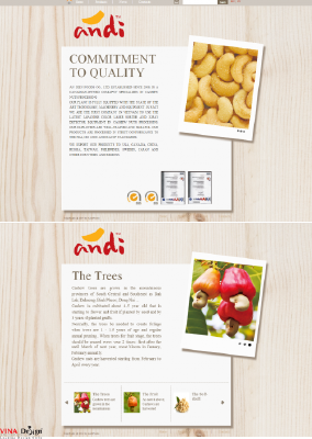 Thiết kế website cho công ty TNHH Thực Phẩm An Điền - andifoods.com
