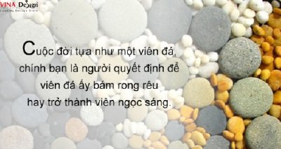 Tự quyết định cuộc sống